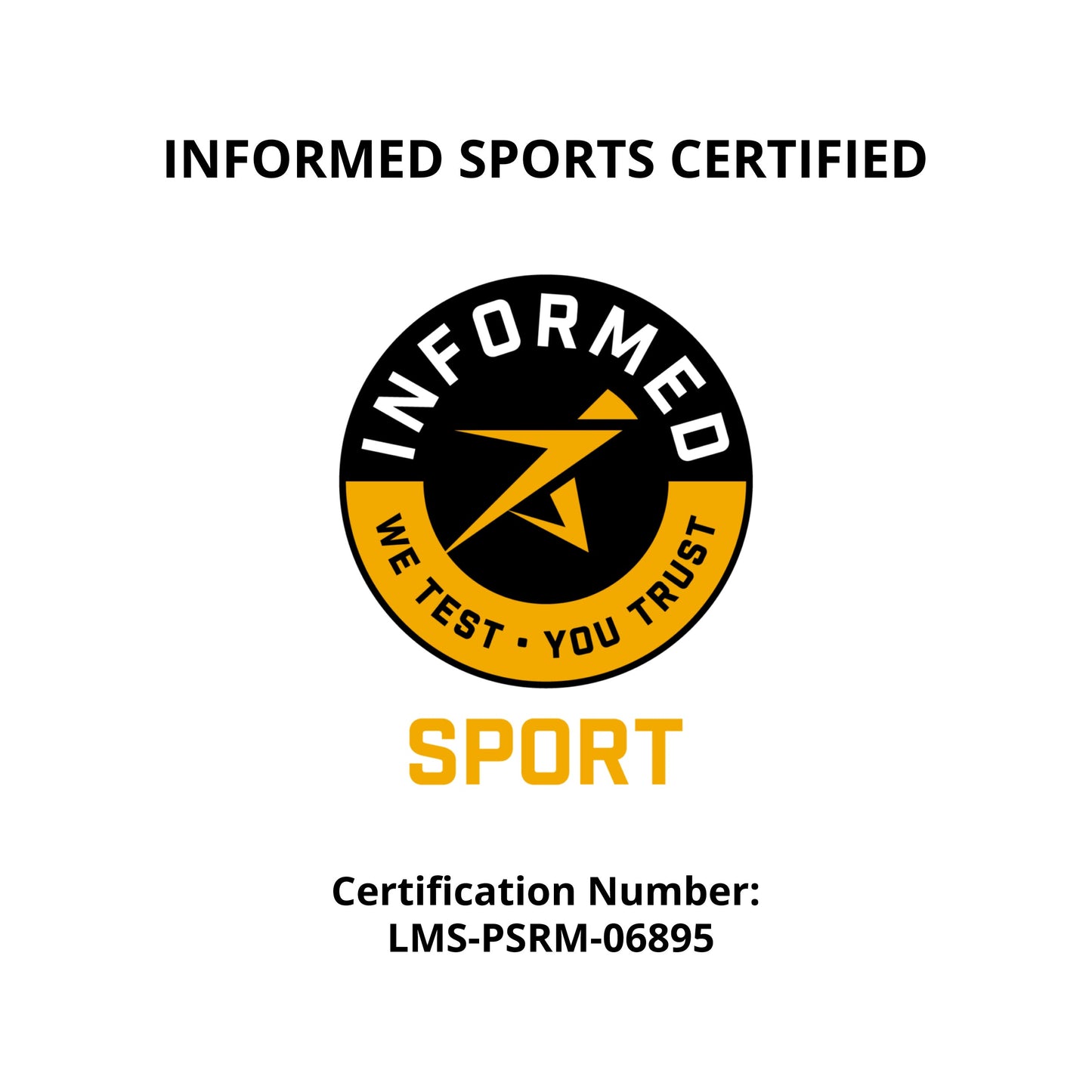 Plant Based Sport Protein Powder Fitness Supplement