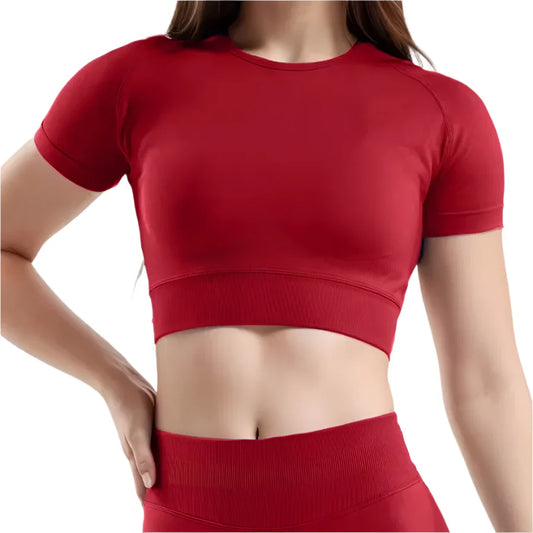 2 Piece Fitness Yoga Outfit Women Activewear Set