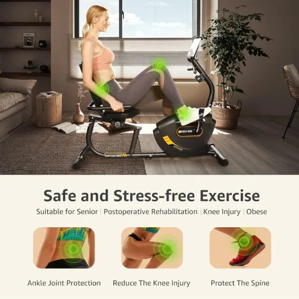 Recumbent Exercise Bike Magnetic Indoor Fitness Equipment Home