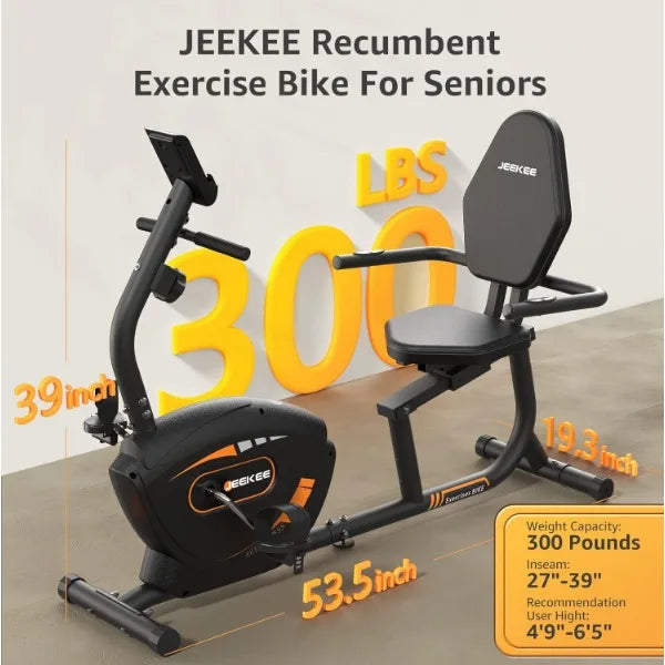 Recumbent Exercise Bike Magnetic Indoor Fitness Equipment Home