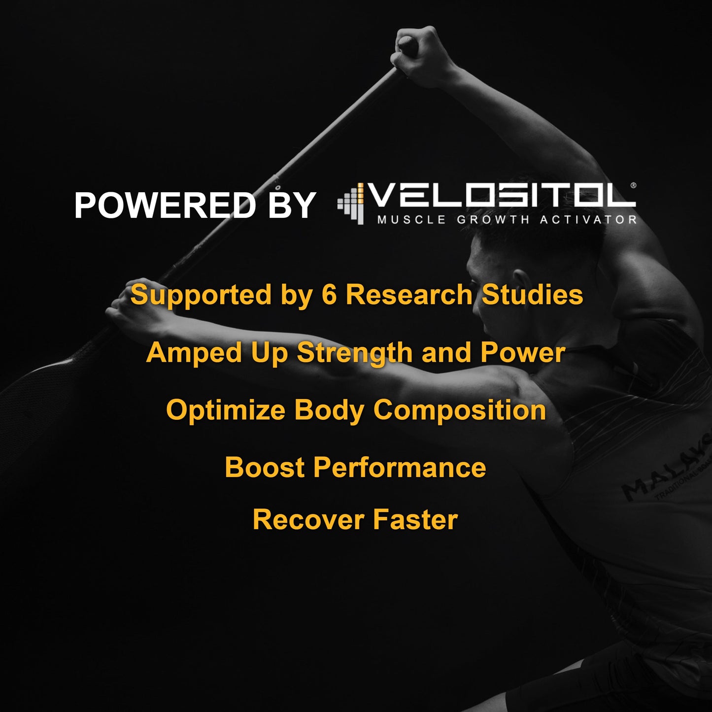 Plant Based Sport Protein Powder Fitness Supplement