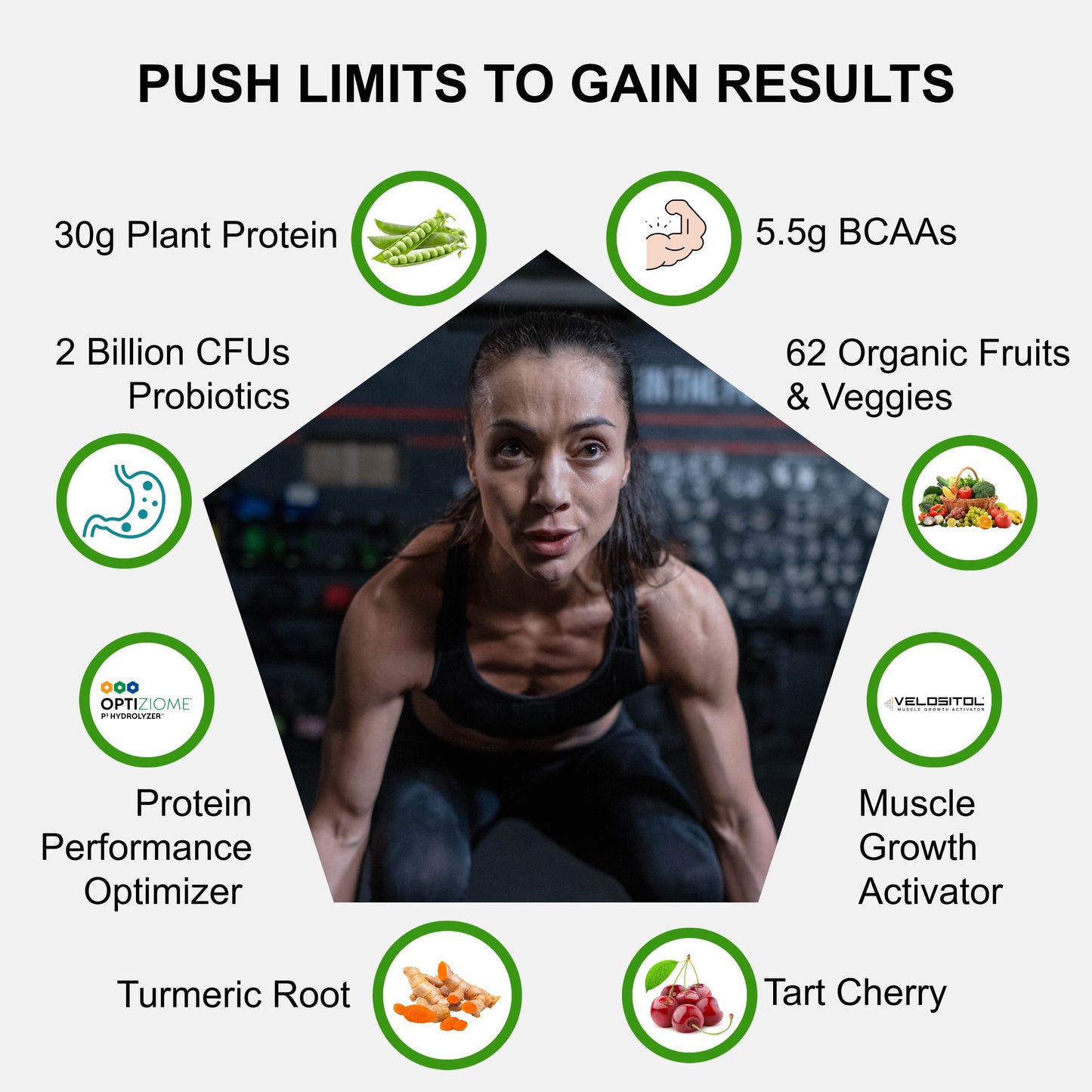 Plant Based Sport Protein Powder Fitness Supplement